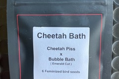 Sell: Cheetah Bath from LIT Farms