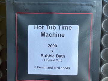 Vente: Hot Tub Time Machine from LIT Farms