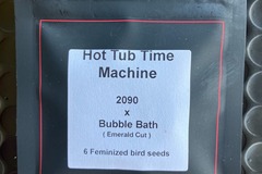 Vente: Hot Tub Time Machine from LIT Farms