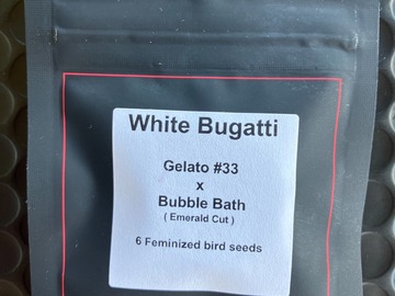 Sell: White Bugatti from LIT Farms