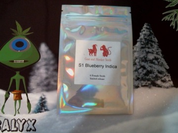 Venta: Goat and Monkey Seeds - Blueberry  S1
