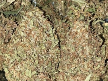 Vente: Fossil Fuel F2 by: TwinFlameSeedCo.