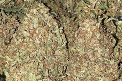 Sell: Fossil Fuel F2 by: TwinFlameSeedCo.