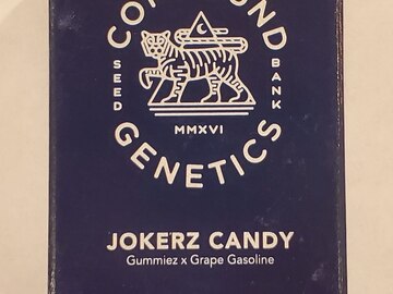 Vente: Compound Genetics - 'Jokerz Candy' (Gummiez x Grape Gasoline)