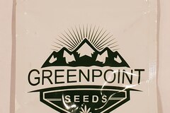 Sell: Greenpoint - Indiana Bubblegum x Red Headed Stranger