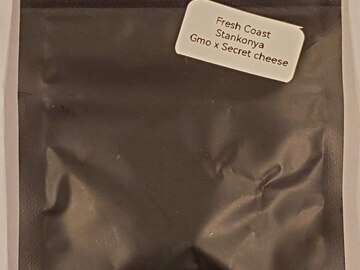 Sell: Fresh Coast - 'Stankonya' (GMO x Secret Cheese)
