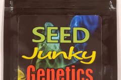 Vente: Seed Junky - 'The Menage'
