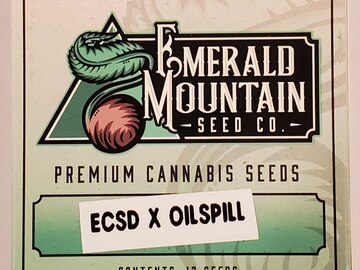 Sell: Emerald Mountain Seed Co. - East Coast Sour Diesel x Oilspill