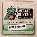 Sell: Emerald Mountain Seed Co. - East Coast Sour Diesel x Oilspill