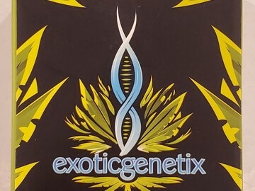 Vente: Exoticgenetix - 'Designer Runtz' (Luxuriotti x Runtz)