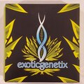 Sell: Exoticgenetix - 'Designer Runtz' (Luxuriotti x Runtz)