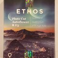 Vente: Ethos – 'Pluto Cut Autoflower R F3' (Quattro Kush x OG Kush Auto)