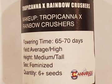 Venta: Cannarado - Tropicanna x Rainbow Crushers