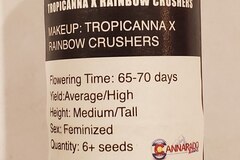 Vente: Cannarado - Tropicanna x Rainbow Crushers