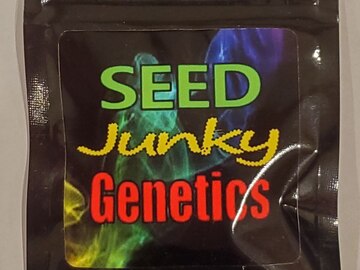 Vente: Seed Junky - Animal Cookies x Kush Mints #11