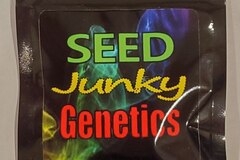 Sell: Seed Junky - Animal Cookies x Kush Mints #11