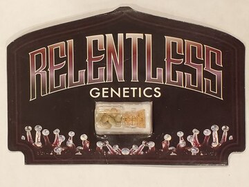 Sell: Relentless Genetics - 'Cherry Banana Split'