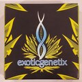 Vente: Exoticgenetix - 'Popscotti' (Biscotti x Red Pop)