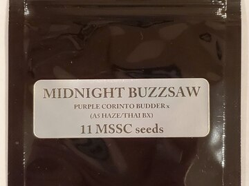 Vente: Magic Spirit Seed Co. - 'Midnight Buzzsaw'