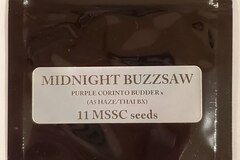 Vente: Magic Spirit Seed Co. - 'Midnight Buzzsaw'