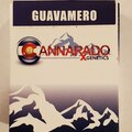 Vente: Cannarado - 'Guavamero' (Guava Gelato x Cocomero)