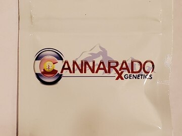 Sell: Cannarado - 'Lemon Bubblegum Margy'