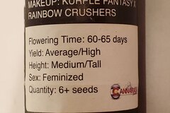 Vente: Cannarado - Kurple Fantasy x Rainbow Crushers