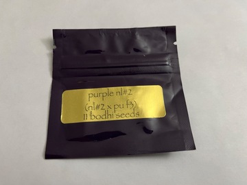 Sell: Bodhi Seeds - Purple NL2