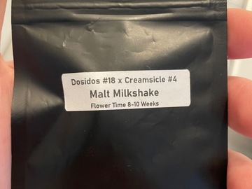 Sell: Malt Milkshake by Clearwater Genetics