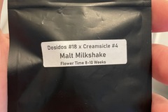 Venta: Malt Milkshake by Clearwater Genetics