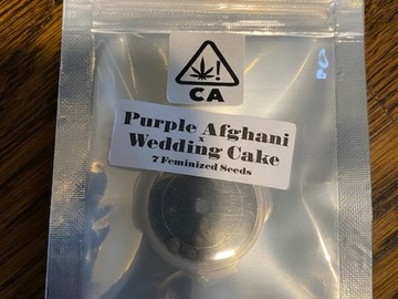 Sell: CSI HUMBOLDT - PURPLE AFGHANI x WEDDING CAKE