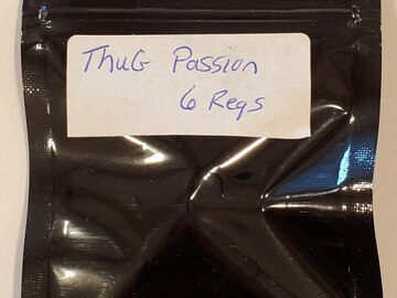Sell: Nerds Genetics - 'Thug Passion' (Bubba Kush x WhoOody F2)