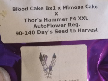 Sell: Bloodcake bx1 x Mimosa cake x Thors hame XXL f2