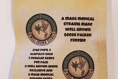 Sell: Mass Medical - Star Pupil x Acapulco Gold