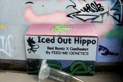 Vente: FLASH SALE 2 PK COMBO Strawberry Donut + Iced Out Hippo