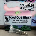 Vente: FLASH SALE 2 PK COMBO Strawberry Donut + Iced Out Hippo