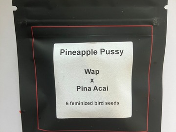 Vente: Pineapple Pussy from LIT Farms