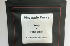 Vente: Pineapple Pussy from LIT Farms