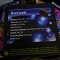 Sell: Next Level By Exotic Genetix
