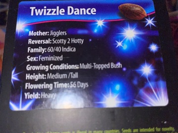 Venta: Twizzle Dance by Exotic Genetix