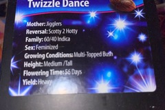 Venta: Twizzle Dance by Exotic Genetix