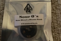Sell: Sour Os By CSI HUMBOLDT