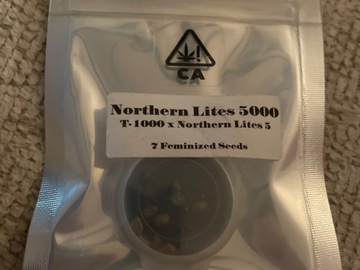 Vente: Northern Lites 5000