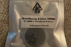 Sell: Northern Lites 5000