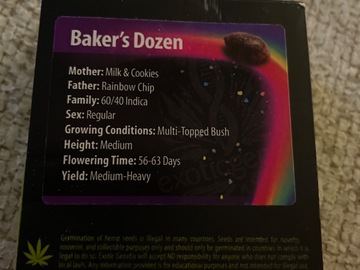 Vente: Bakers Dozen By exotic Genetix