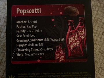 Sell: Popscotti By Exotic Genetix