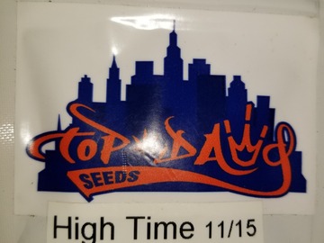 Vente: High Time Topdawg seeds