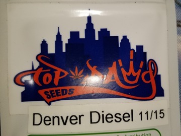 Sell: Denver Diesel Topdawg seeds