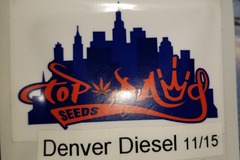 Sell: Denver Diesel Topdawg seeds
