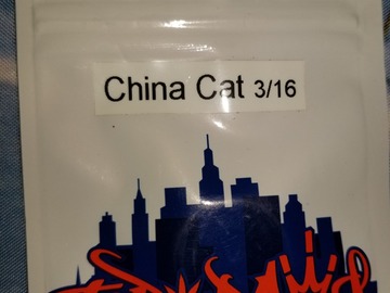 Vente: China Cat Topdawg seeds